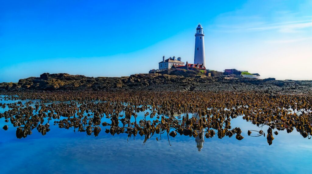 A scenic view of a lighthouse standing on a rocky shore under a clear blue sky, reflecting in the calm water.